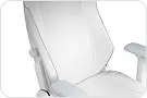 Athena Pro Gaming Chair
