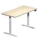 Atlas Lite Standing Desk
