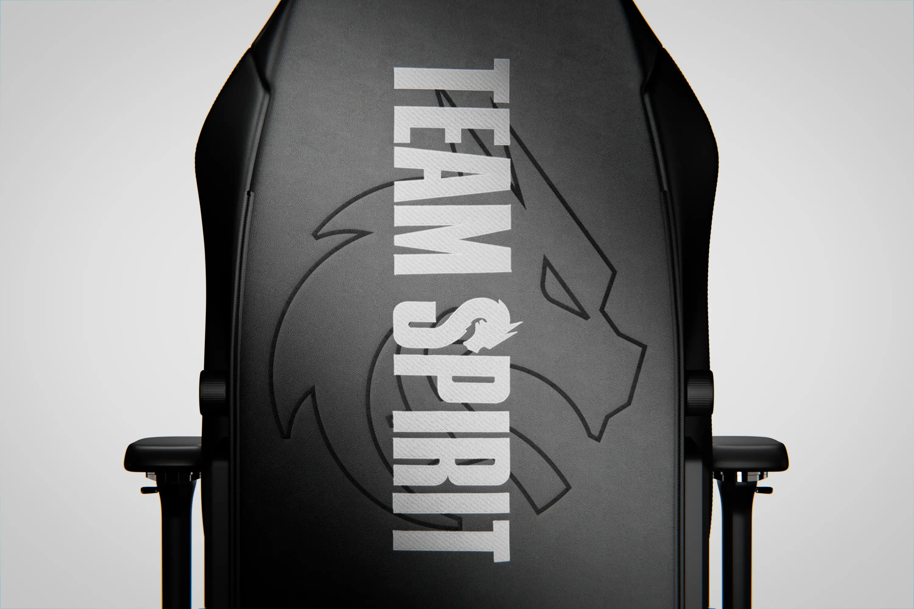 Back View of Athena Pro Team Spirit Edition Gaming Chair